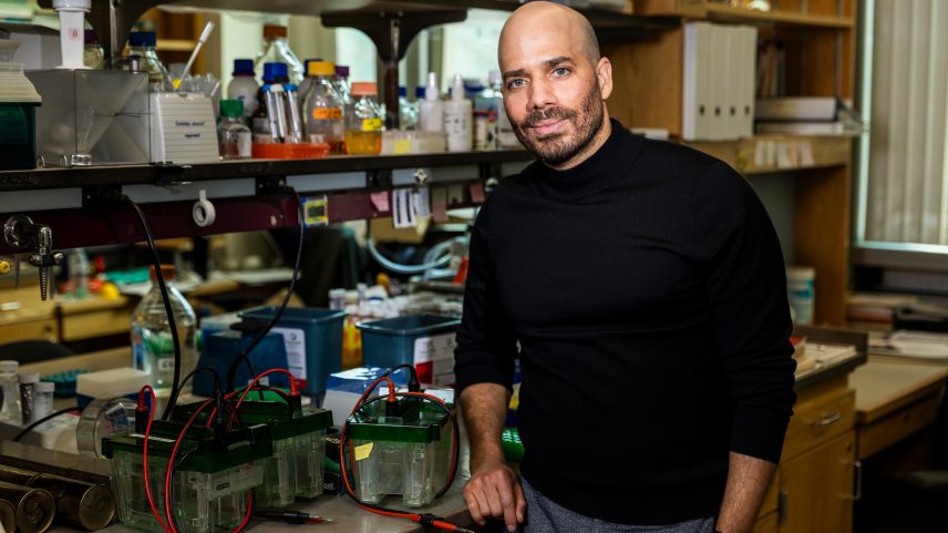 Eliezer Calo studies how craniofacial malformations arise, uncovering new insights into protein synthesis and embryonic development.