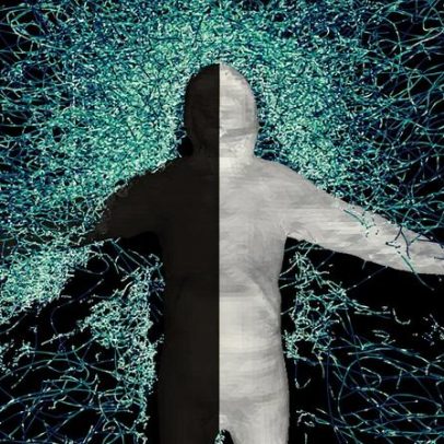 Novo modelo prevê como mosquitos voarão