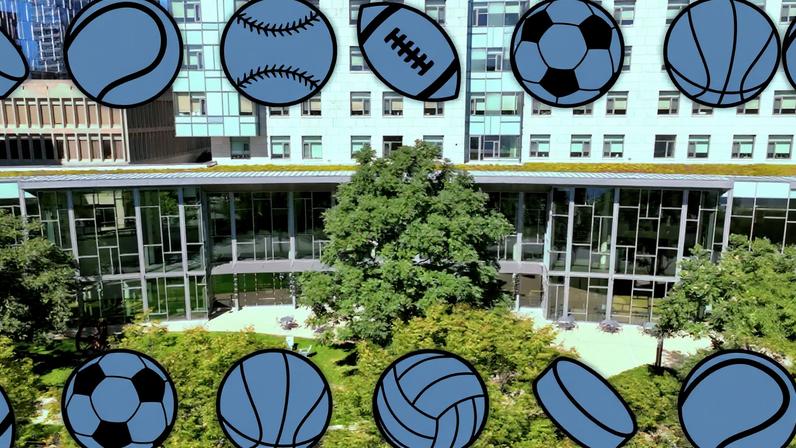 Sloan aerial photo, and sports balls on top.