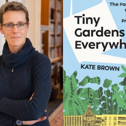 Sementes de algo diferente