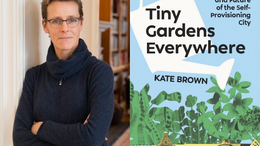 Sementes de algo diferente