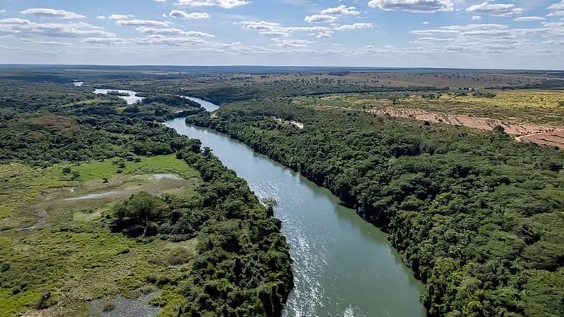 Arauco evita classificação de lixo ao erguer maior fábrica de celulose no Brasil