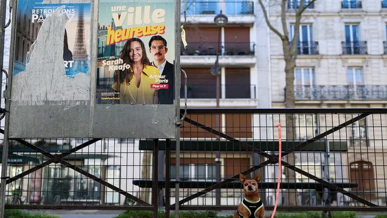 Cães dominam campanhas na disputa pela prefeitura de Paris
