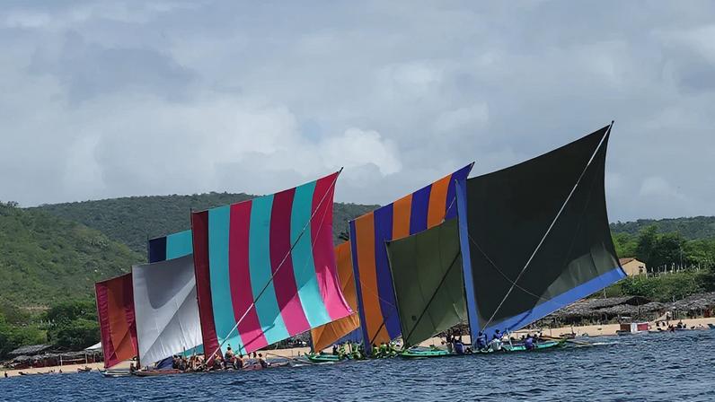 Borboletas do Velho Chico: estudo destaca diversidade ao longo do rio