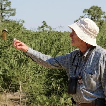 Ecologista Paul Ehrlich, autor de The Population Bomb, morre aos 93