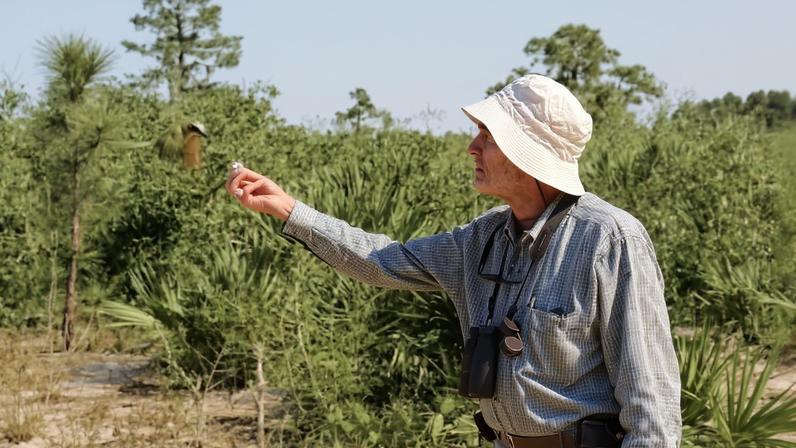 Ecologista Paul Ehrlich, autor de The Population Bomb, morre aos 93