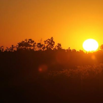 O aquecimento global já afeta o dia a dia em todo o mundo, aponta estudo