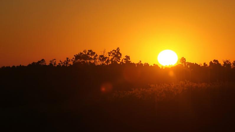 O aquecimento global já afeta o dia a dia em todo o mundo, aponta estudo