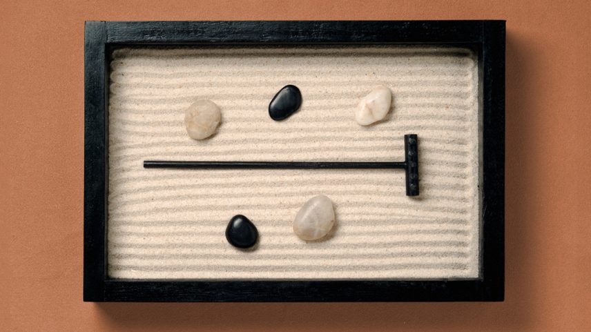 Estudo aponta que meditar limpa o cérebro