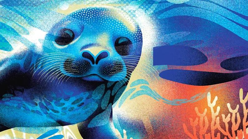 Focas usam bigodes para localizar presas a grandes distâncias