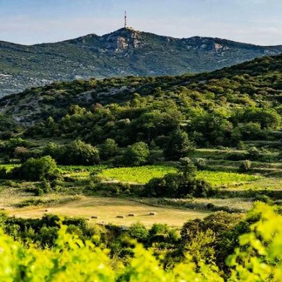 Montpeyroux ganha status de cru no Languedoc