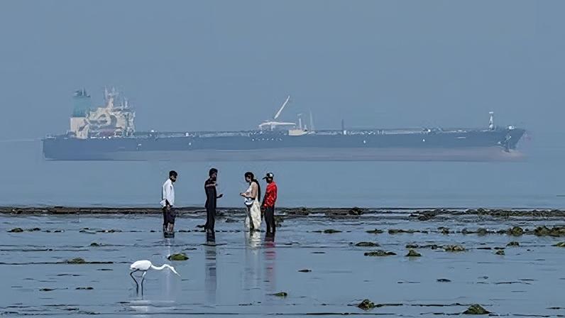 El petrolero MT Desert Kite cruza con crudo ruso el santuario marino indio de Narara el pasado 11 de marzo