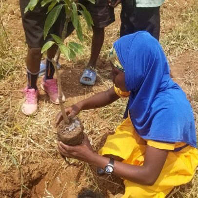 Mais cinco grupos comunitários africanos ingressam na rede global de restauração