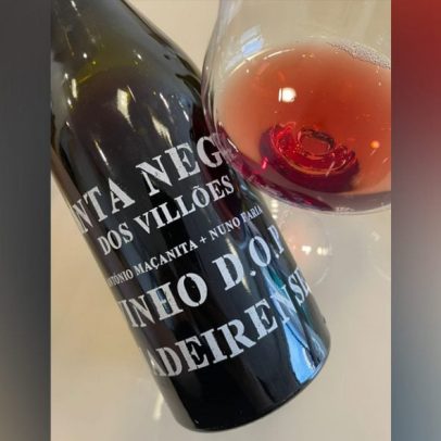 O lado B das uvas: impactos ambientais, usos e consumo