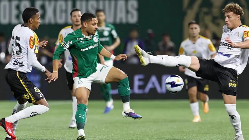 (Foto: Cesar Greco/Palmeiras/by Canon)