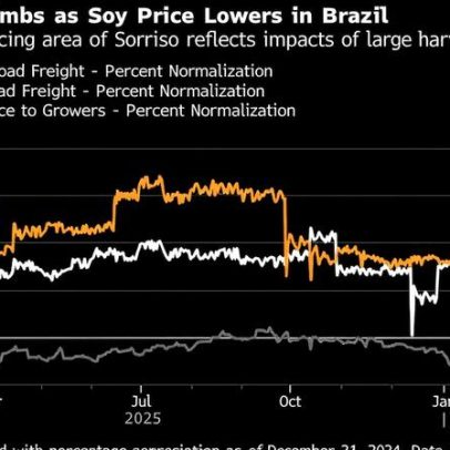 Guerra no Oriente Médio eleva diesel e atrasa escoamento de soja no Brasil