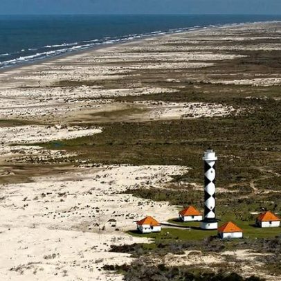 Brasil protege vasta zona costeira com golfinhos em risco e fósseis de megafauna