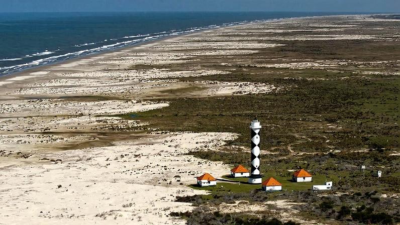 Brasil protege vasta zona costeira com golfinhos em risco e fósseis de megafauna