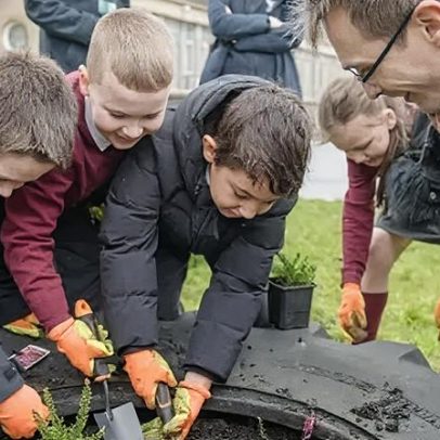 Espaços naturais para borboletas serão criados em Glasgow