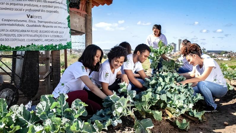 Foto: Divulgação/Instituto Federal de Goiás (IFG)