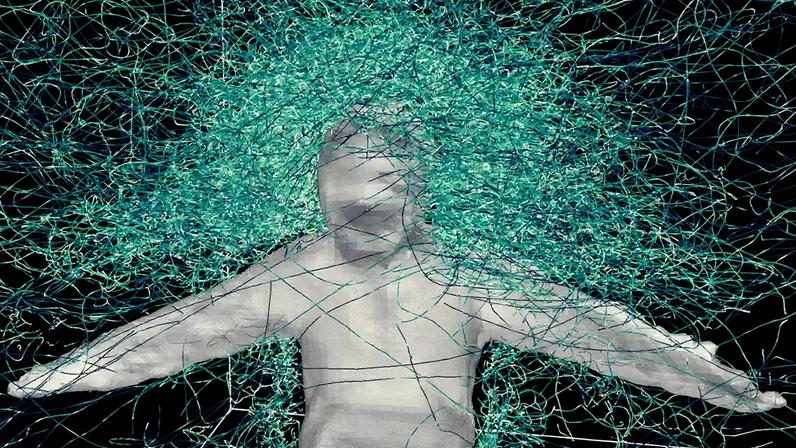 Estudo revela como mosquitos identificam vítimas com voluntário e traje de malha