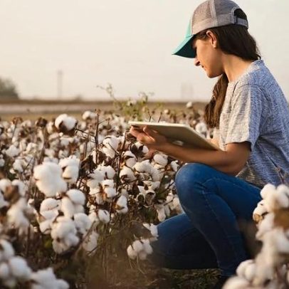 Planejamento sustenta sobrevivência em tempos de incerteza