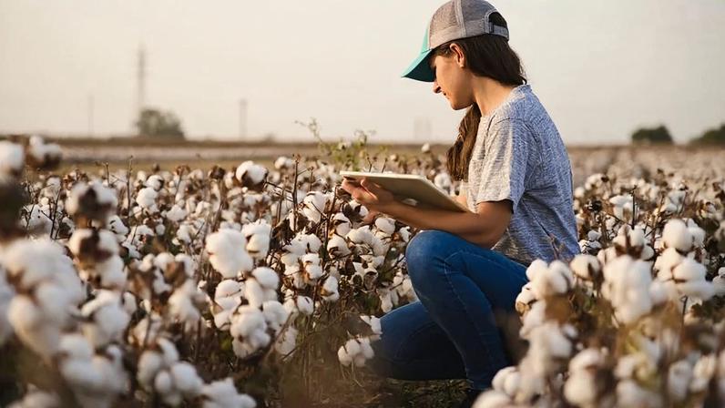 Planejamento sustenta sobrevivência em tempos de incerteza