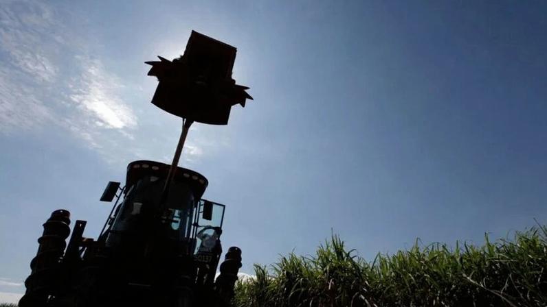 Conflito no Irã Pressiona cotações do açúcar e sinaliza demanda por etanol