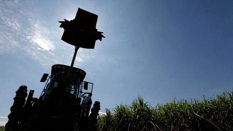 Etanol projeta produção recorde de 40 bilhões de litros em 2026/27