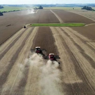 Caramuru dobra lucro para R$ 571 milhões com originação de grãos em 2025