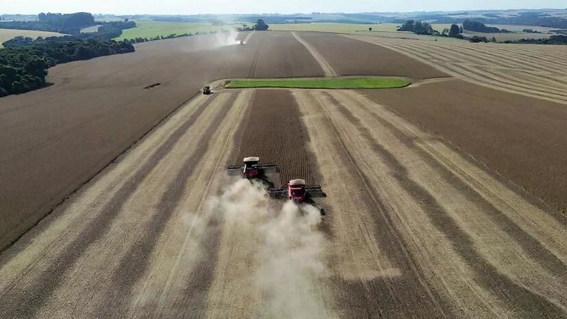 Caramuru dobra lucro para R$ 571 milhões com originação de grãos em 2025