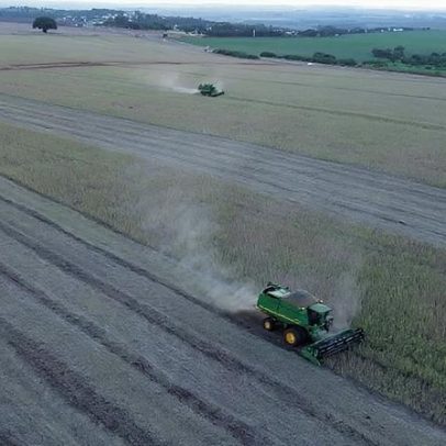 Anec projeta exportação de 15,86 milhões de toneladas de soja em março