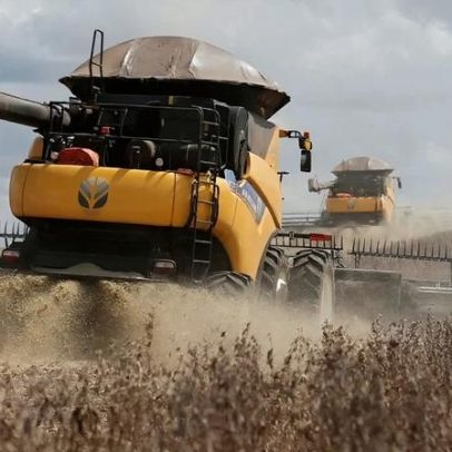 Exportação de soja deve chegar a 16,1 milhões de toneladas em março