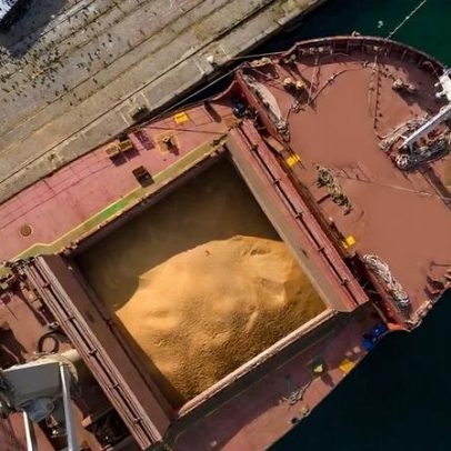 Brasil e China iniciam rodada de negociações sobre inspeção de soja