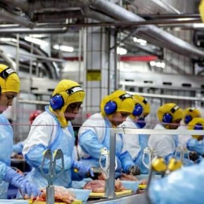 MBRF lucra R$ 358 milhões em 2025 e mira vantagem logística no Oriente