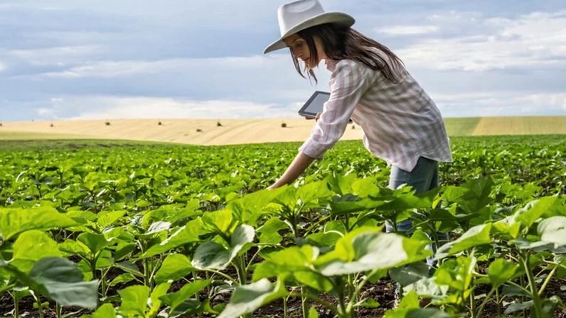 Força Silenciosa que Move o Mundo, impactos e tendências globais
