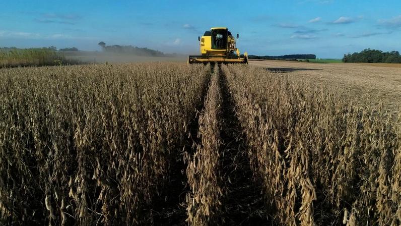 Agroconsult eleva previsão de safra de soja no Brasil após rally
