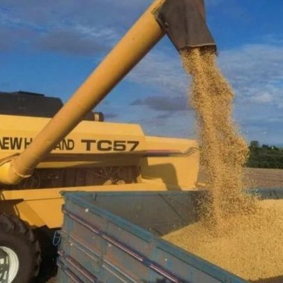 Safra de soja é projetada em 178 milhões de toneladas após perdas no RS