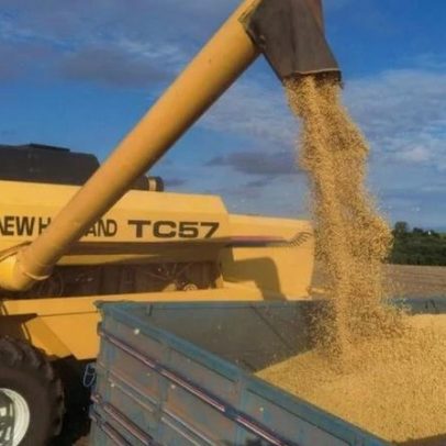 Colheita de soja atinge 68% da área no Brasil, com avanço no Matopiba