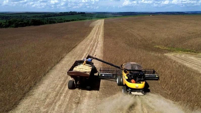 Abiove projeta safra de soja de 179 milhões de toneladas em 2026