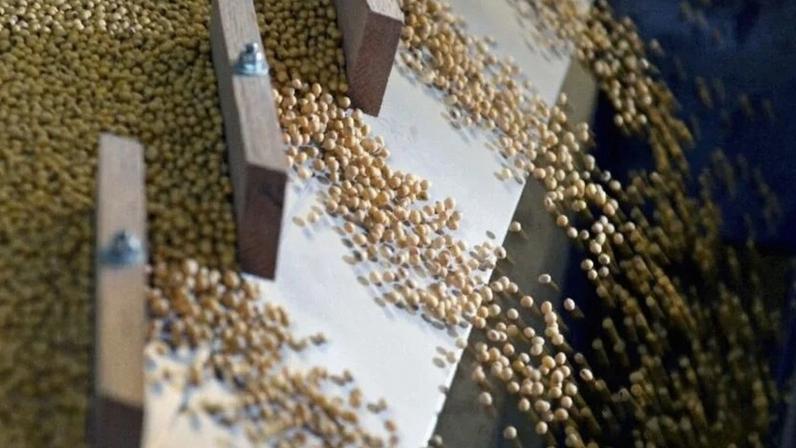 Processamento de soja