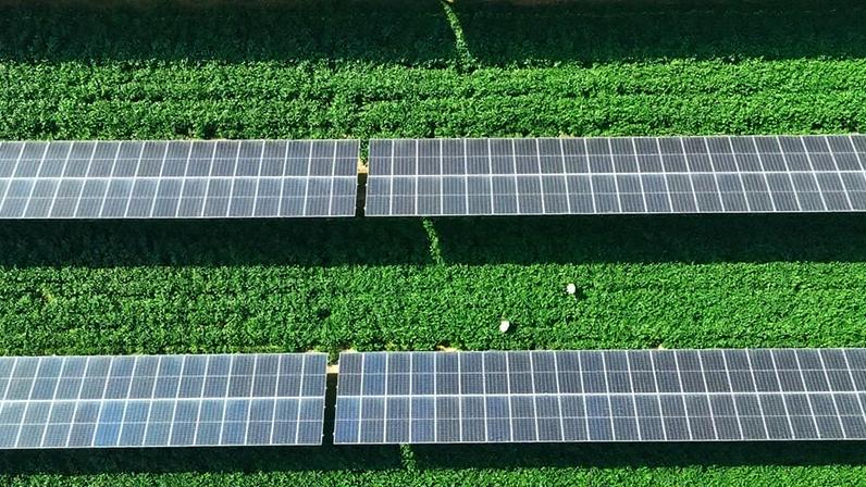 Huawei e Aggreko anunciam maior projeto de baterias do Brasil na Amazônia