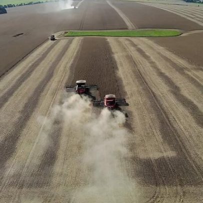 Área de soja e milho nos EUA deve crescer em 2026, diz S&P Global