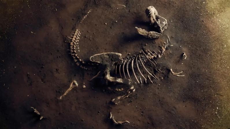 Discussão sobre a crença cristã na existência dos dinossauros e suas implicações.