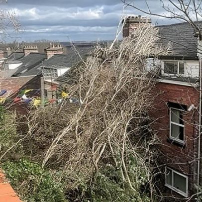 Árvore cai sobre casa após ventos fortes