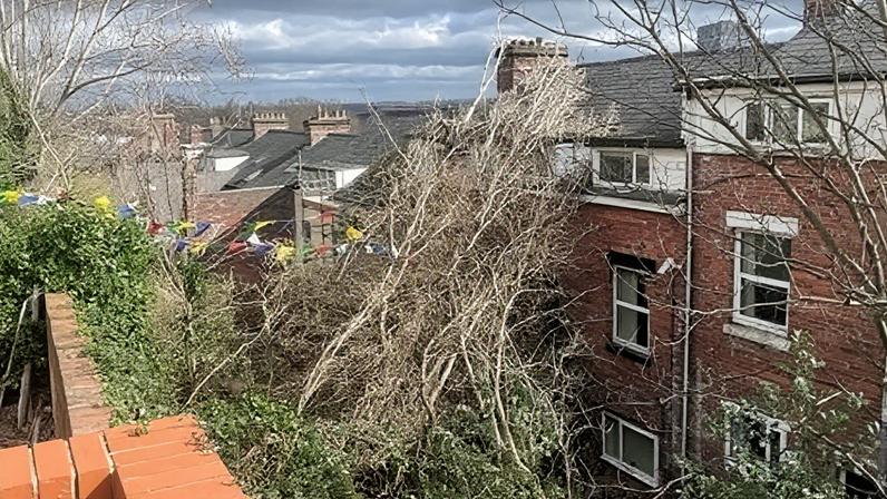 South Yorkshire Fire & Rescue crews attended the scene in Sheffield