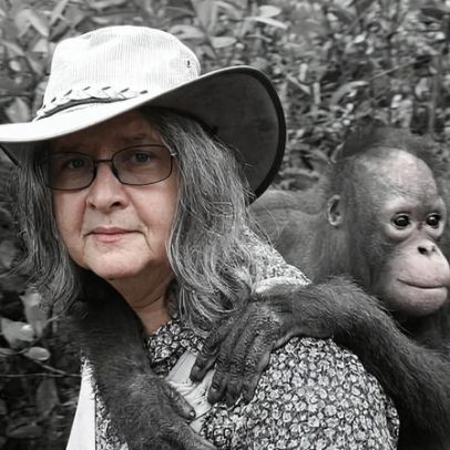 Birutė Galdikas, primatóloga que defendeu orangotangos, morre aos 79