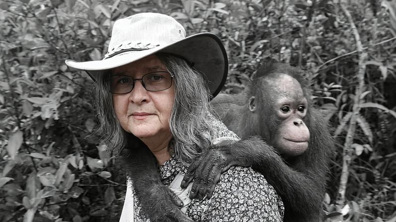 Birutė Galdikas, primatóloga que defendeu orangotangos, morre aos 79