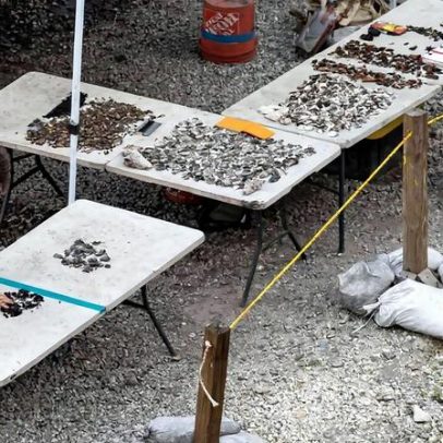 Sítios indígenas antigos de Miami enfrentam futuro incerto