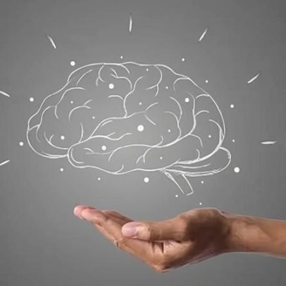 Estudantes se unem em projeto para investigar os mistérios do cérebro